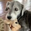 riley4hughes